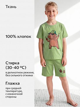 капибара.полынь