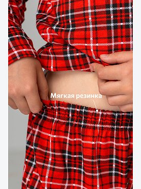 красный.клетка