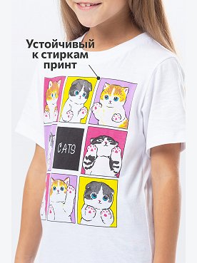 белый.коты