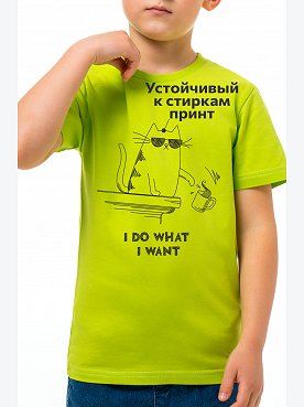 кот.лайм