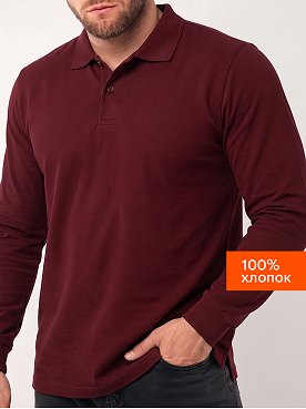 Мужской базовый лонгслив-поло Happyfox