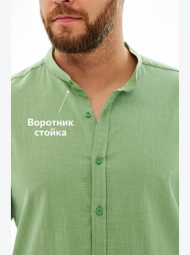 полынь