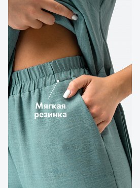 листья.мяты
