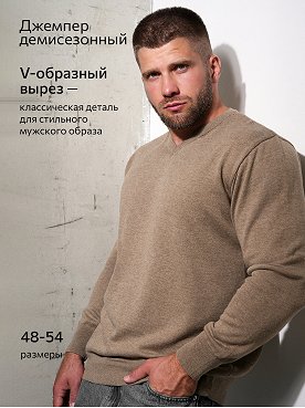 визон