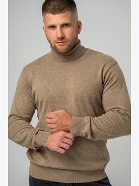 визон