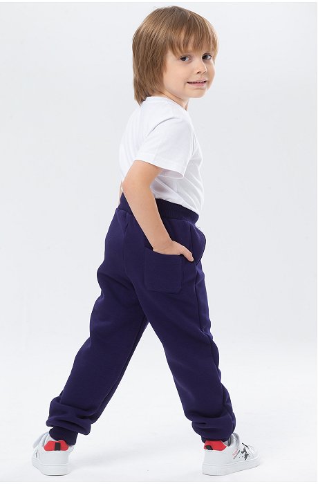 Теплые брюки из футера трехнитки с начесом для мальчика Bonito