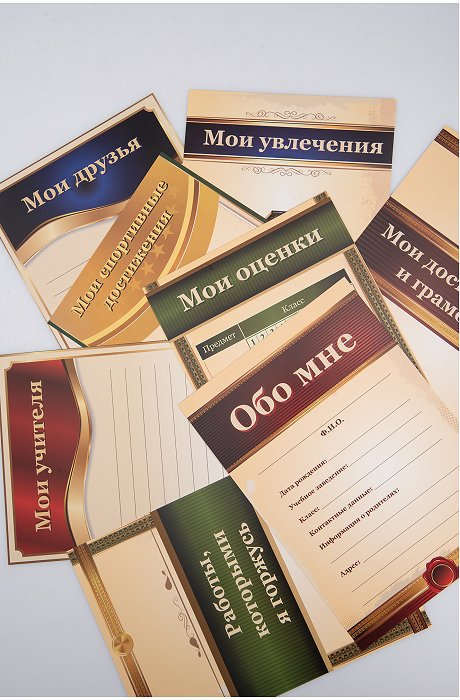 Папка-портфолио Пчелка