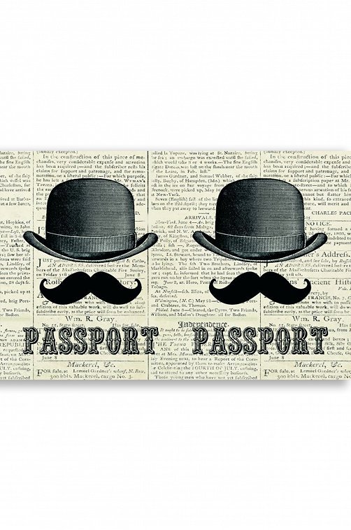 Обложка на паспорт Magic Home