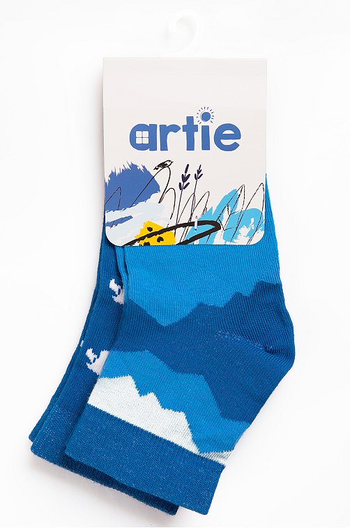 Носки для мальчика 2 пары Artie