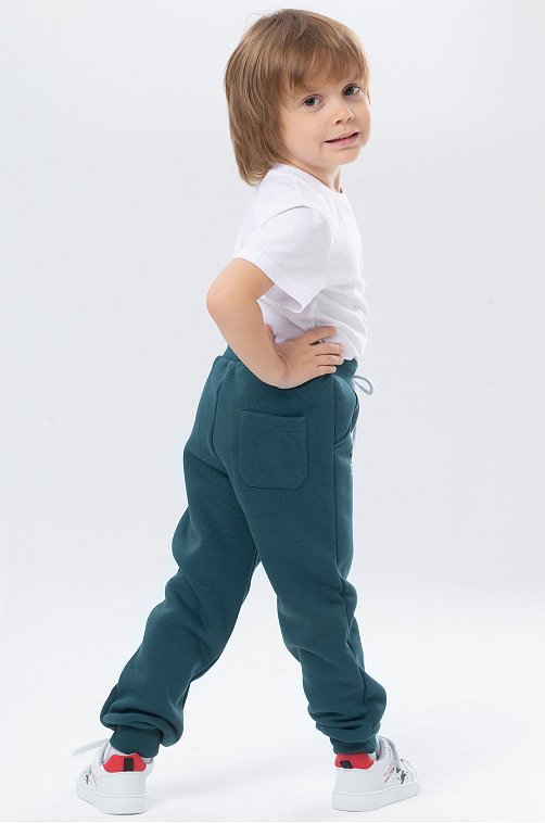 Теплые брюки из футера трехнитки с начесом для мальчика Bonito