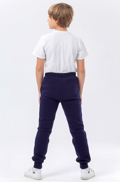 Теплые брюки из футера с начесом для мальчика Bonito