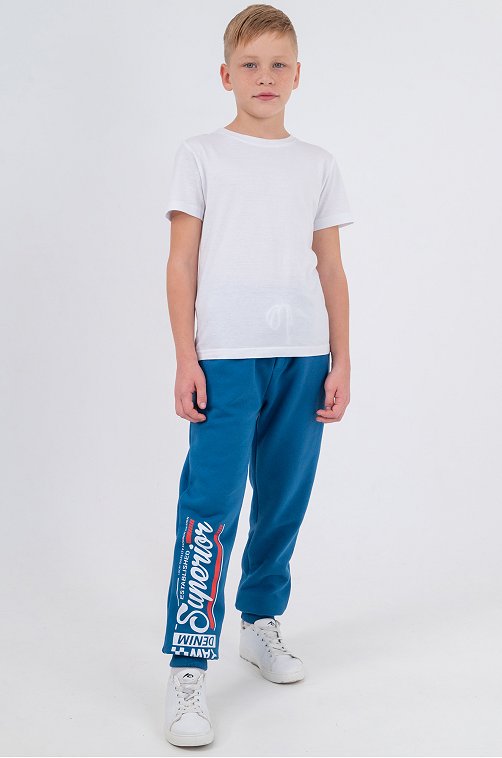Утепленные брюки для мальчика из футера трехнитки с начесом Bonito