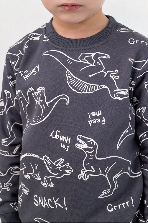 Теплый джемпер из футера двухнитки с начесом для мальчика Bonito