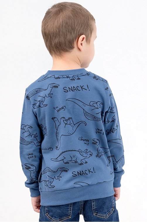 Теплый джемпер из футера двухнитки с начесом для мальчика Bonito