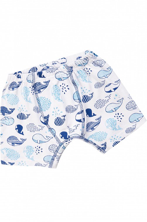 Трусы для мальчика Bonito