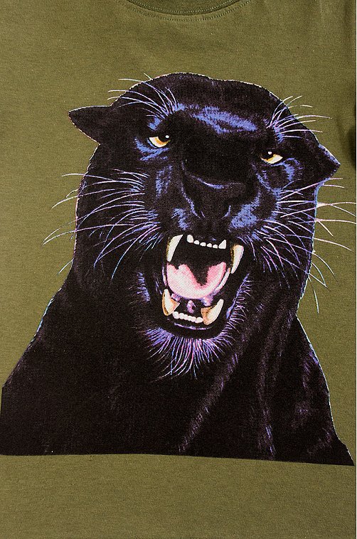 Футболка для мальчика Bonito