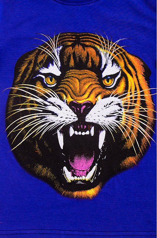 Футболка для мальчика Bonito