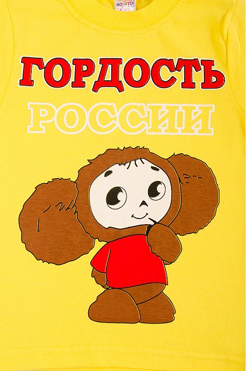 Футболка для мальчика Bonito