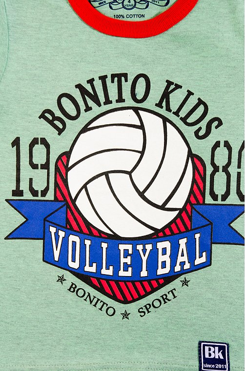 Футболка для мальчика Bonito