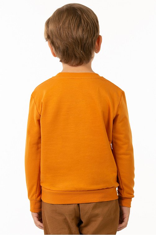 Свитшот для мальчика из футера двухнитки Baby Style