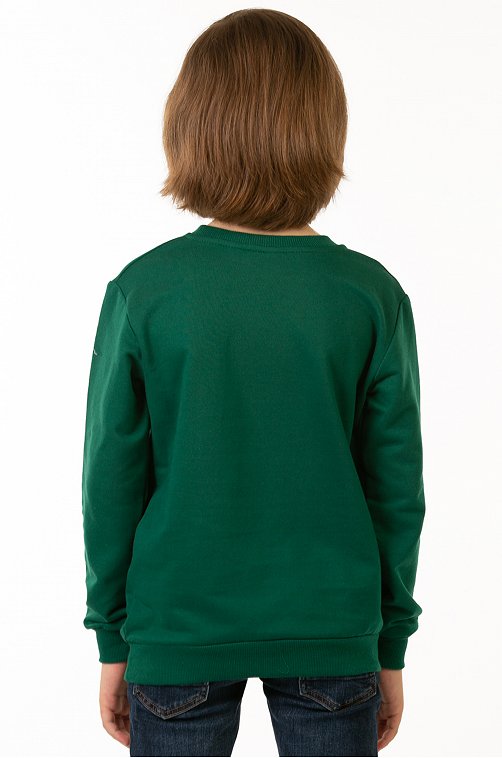 Свитшот для мальчика из футера двухнитки Baby Style