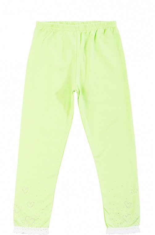 Лосины Cool Bear