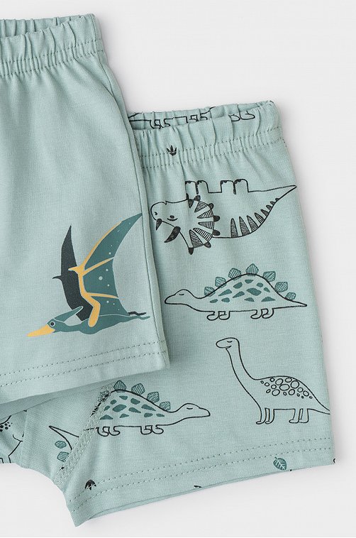 Трусы-боксеры для мальчика 2 шт. Crockid