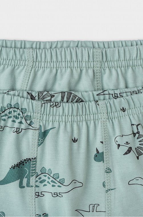 Трусы-боксеры для мальчика 2 шт. Crockid