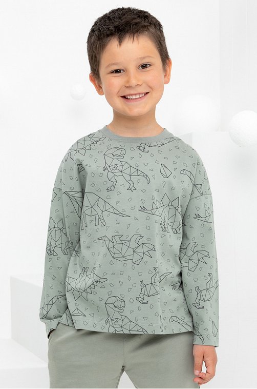 Джемпер для мальчика из супрема Crockid