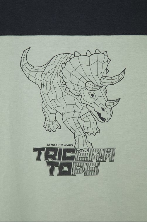 Футболка для мальчика из супрема Crockid