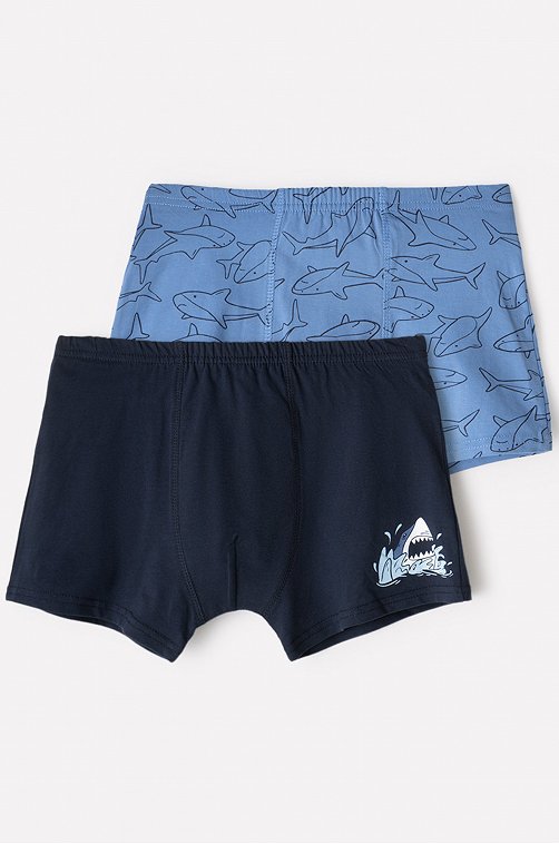 Трусы-боксеры для мальчика набор 2 шт. Cubby