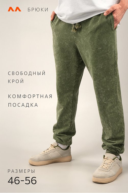 Мужские брюки из футера двухнитки Happyfox