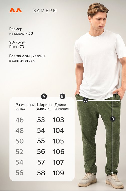 Мужские брюки из футера двухнитки Happyfox