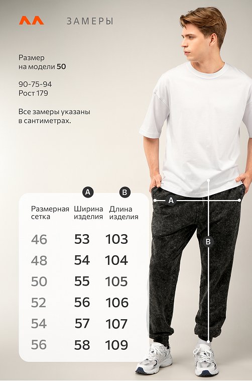 Мужские брюки из футера двухнитки Happyfox