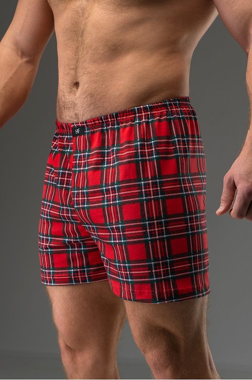 Мужские трусы Happyfox