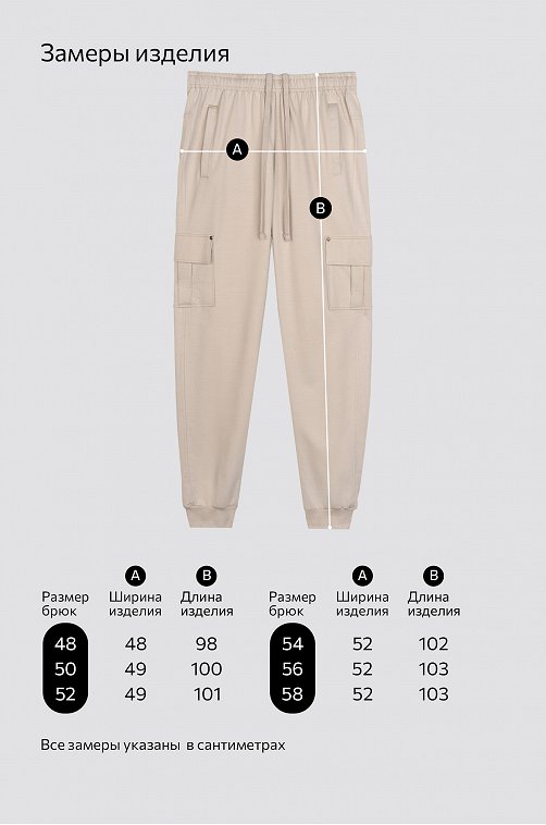 Мужские брюки из футера двухнитки Happyfox