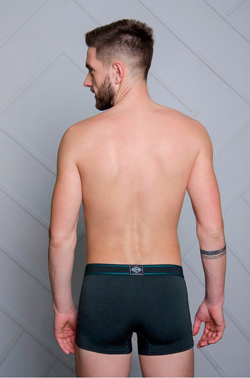 Трусы мужские Indefini