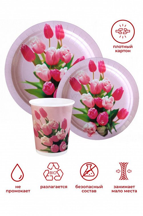 Набор бумажных тарелок 10 шт. Картония