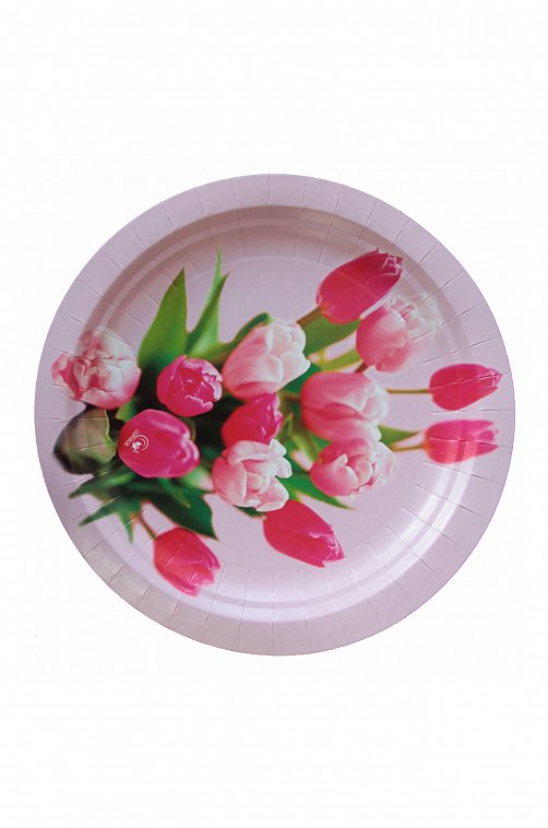 Набор бумажных тарелок 10 шт. Картония