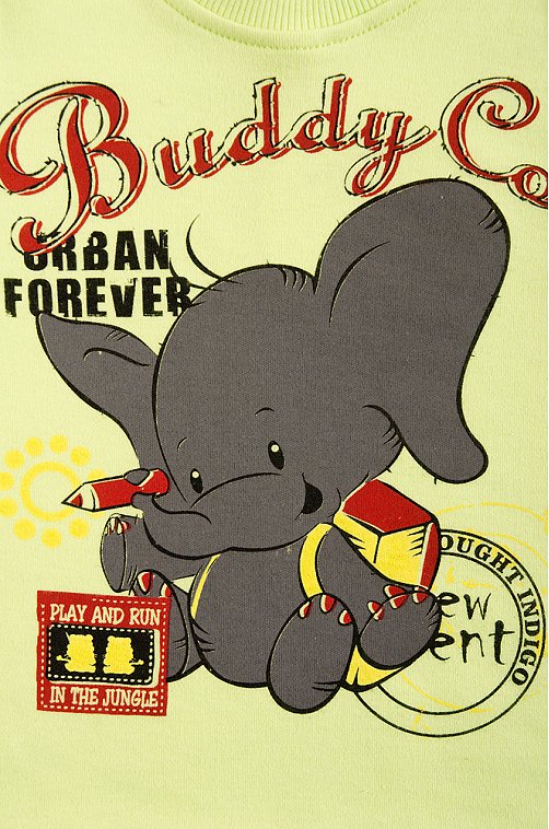 Лонгслив для мальчика Медвежонок