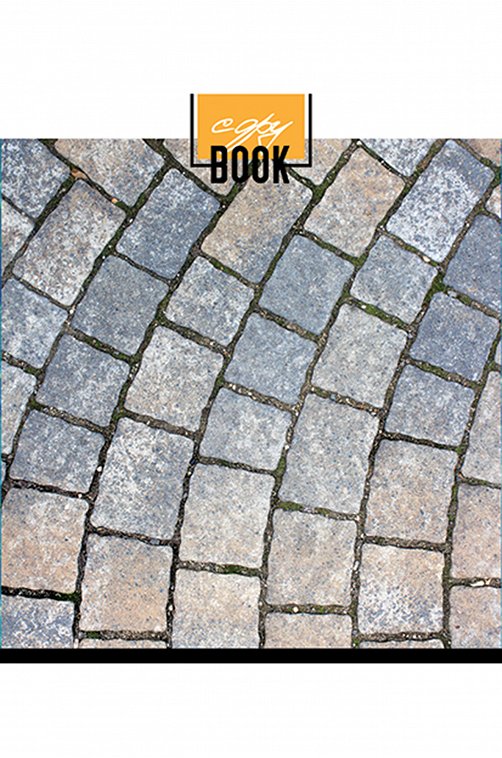 Набор общих тетрадей в клетку 48 л. 5 шт. Полотняно-Заводская бумажная мануфактура