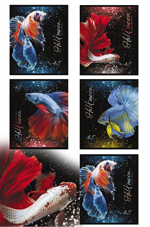 Набор общих тетрадей в клетку 48 л. 5 шт. Полотняно-Заводская бумажная мануфактура