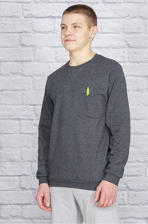 Утепленная мужская толстовка из футера двухнитки с микроначесом Палитра Текстиль