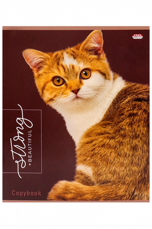 Набор тетрадей в клетку 48 л. 5 шт. Prof-Press