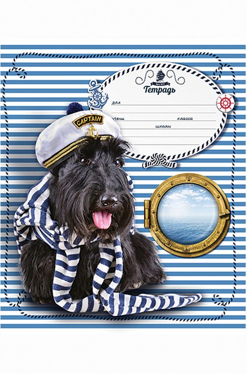 Набор тетрадей в клетку 18 л. 5 шт. Полотняно-Заводская бумажная мануфактура