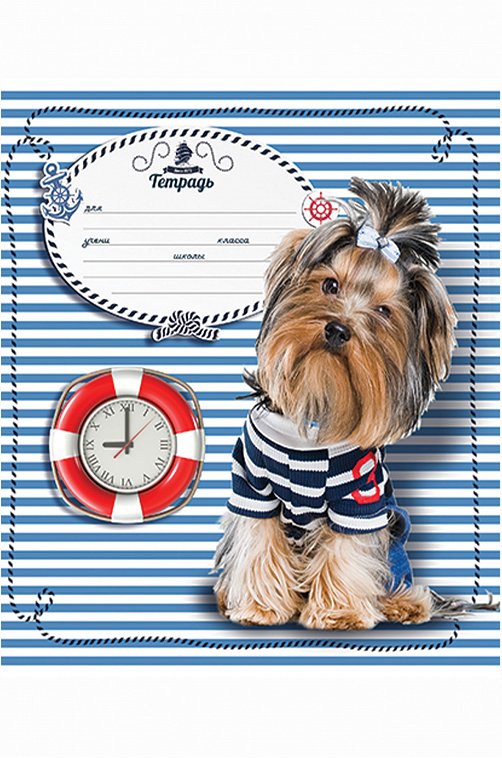 Набор тетрадей в клетку 18 л. 5 шт. Полотняно-Заводская бумажная мануфактура