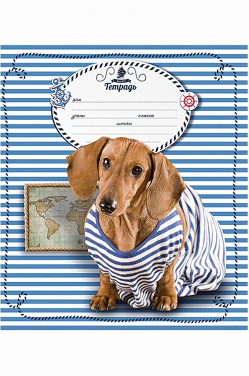 Набор тетрадей в клетку 18 л. 5 шт. Полотняно-Заводская бумажная мануфактура