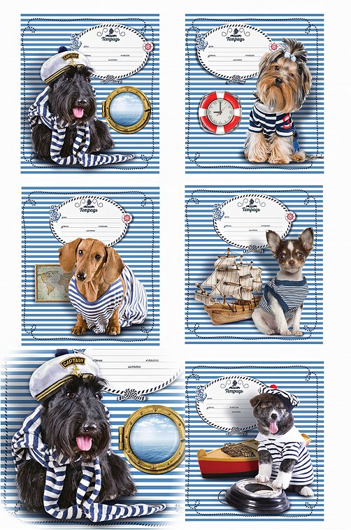 Набор тетрадей в клетку 18 л. 5 шт. Полотняно-Заводская бумажная мануфактура