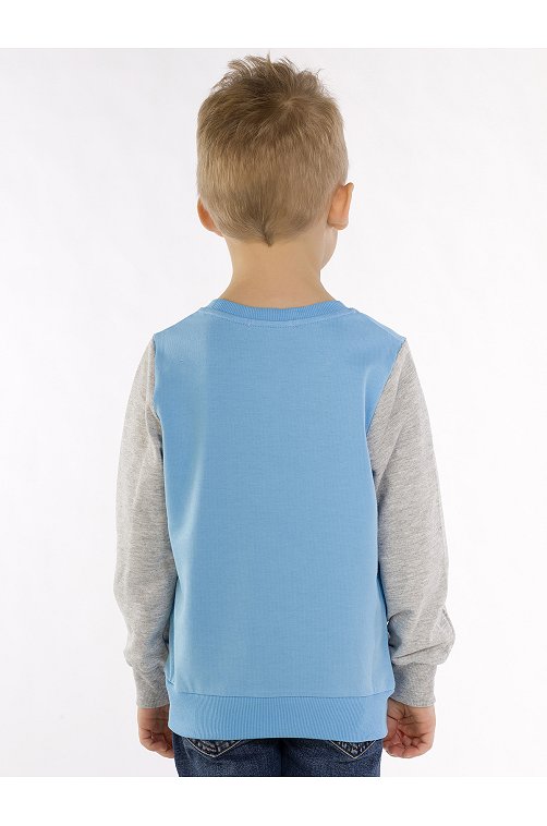 Джемпер для мальчика RoxyFoxy