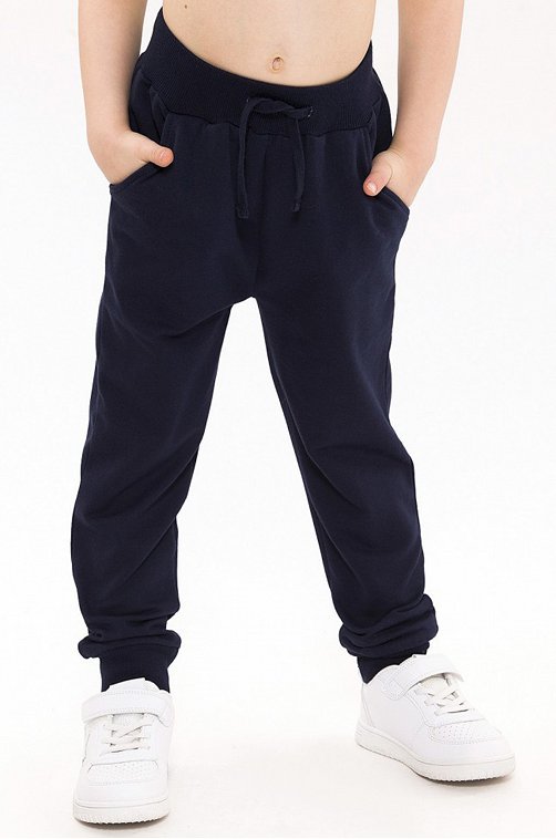 Утепленные брюки для мальчика RoxyFoxy 6631304 синий купить оптом в HappyWear.ru